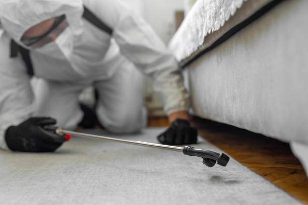 Professional Pest Control technician working in Alabama, AL