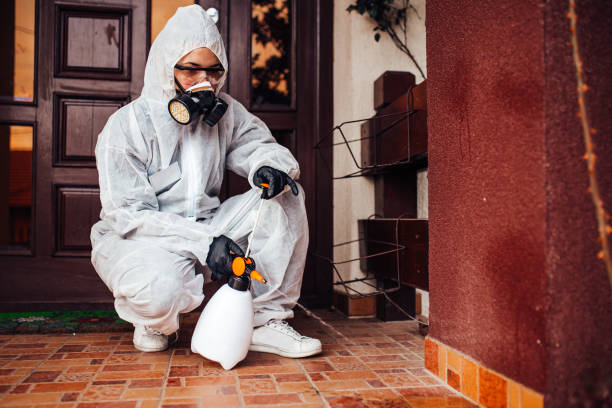 Reliable Pest Control contractor in Alabama, AL by Show Me Pest Control